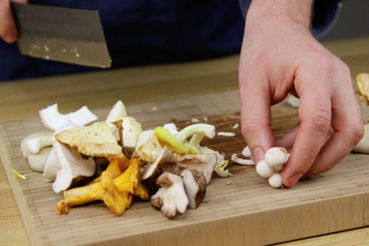 Pasta funghi met bospaddenstoelen